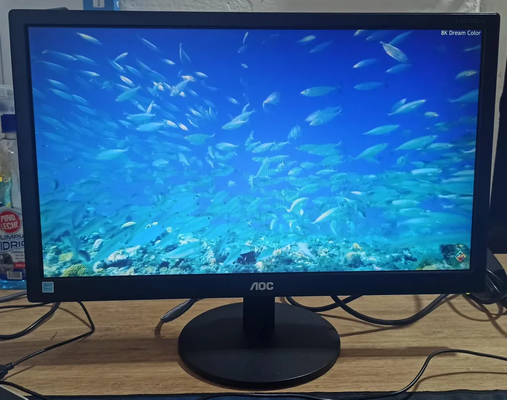Monitor AOC 20" VGA