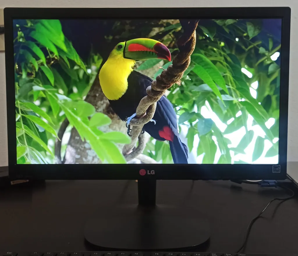 Monitor LG 20" VGA